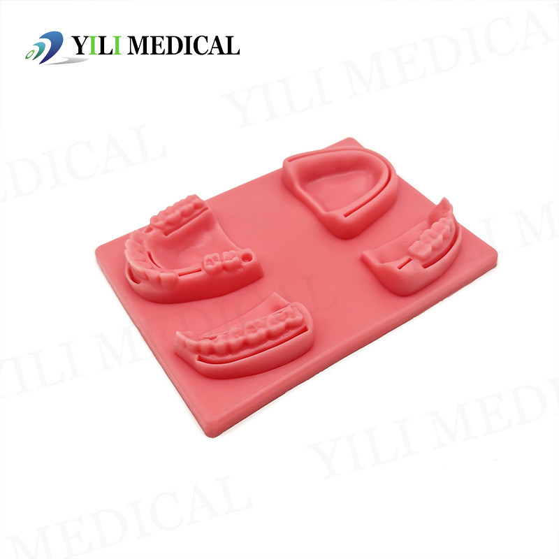 Gum Suture Training Model