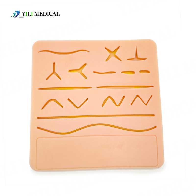 Multi functional suture training model