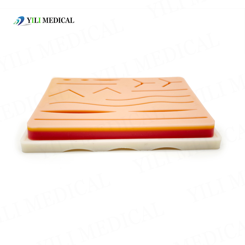 Wound Suture Training pad(with Base)